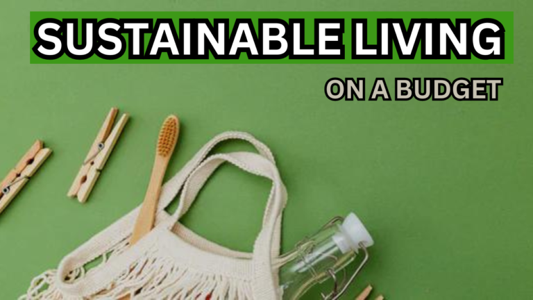 10 Easy Tips for Sustainable Living on a Budget