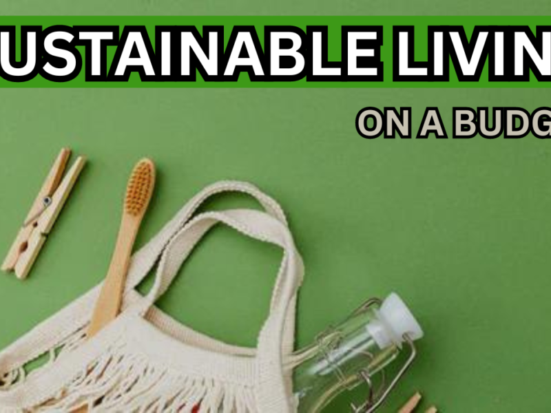 10 Easy Tips for Sustainable Living on a Budget